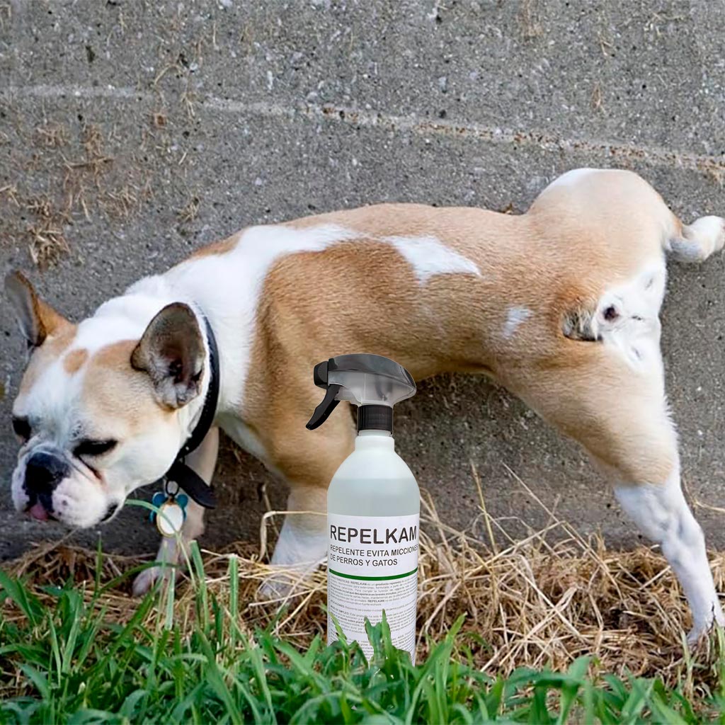 Repelkam repelente para perros y gatos